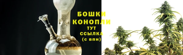 ГАЛЛЮЦИНОГЕННЫЕ ГРИБЫ Бронницы