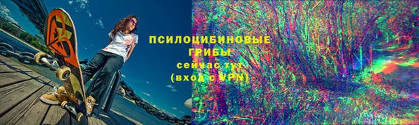 ГАЛЛЮЦИНОГЕННЫЕ ГРИБЫ Бронницы
